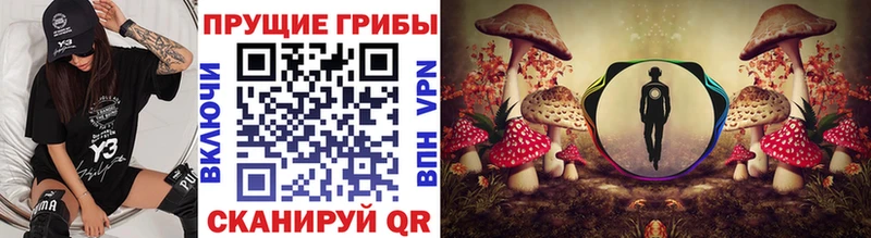 Галлюциногенные грибы Psilocybe  Купить закладки  Сорск 